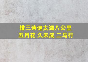 排三诗谜太湖八公里 五月花 久未成 二马行